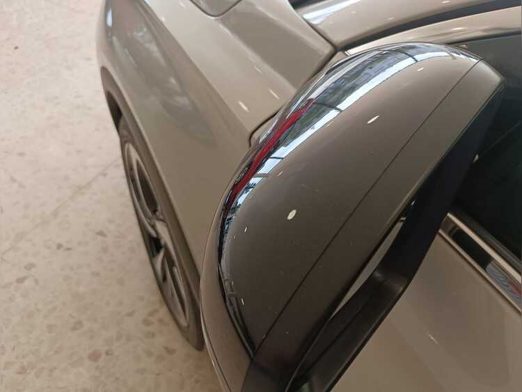 DS Automobiles DS 7 Crossback E-TENSE 225 RIVOLI foto 11